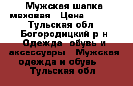 Мужская шапка меховая › Цена ­ 2 000 - Тульская обл., Богородицкий р-н Одежда, обувь и аксессуары » Мужская одежда и обувь   . Тульская обл.